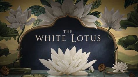 the white lotus aesthetics.